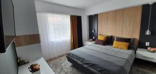 Chilia 1 Apartments - Chilia Veche - 5