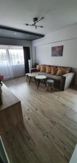 Chilia 1 Apartments - Chilia Veche - 1