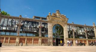 Studio au cœur du quartier historique - Narbonne - 1