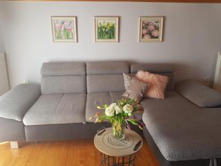 Mediterrán apartman - Pécs - 6