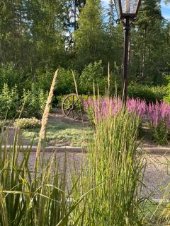 Carpe Diem Guest Cottage - 7