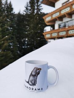 Panorama - Warth am Arlberg - 9