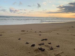 Paradise Huatulco Condo TANGOLUNDA BEACH - 2