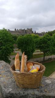 SANTOCHA : appartement en plein coeur de ville ! - Carcassonne - 5