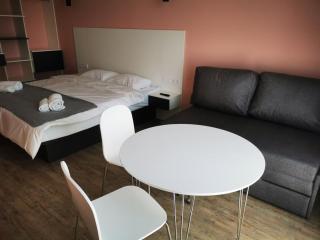 VIKTORY 5 B, apartments Kyiv - 4