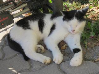 Stadel Hof Altötting - 8