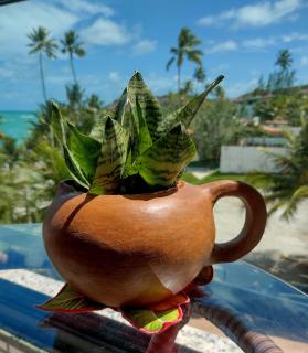 Flat do Barão Tabatinga - 5