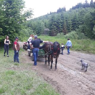 Antonia - Băile Tuşnad - 9