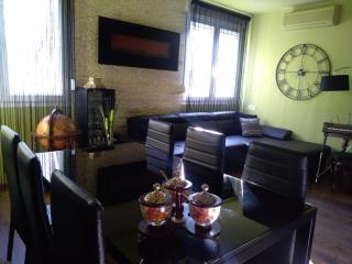 Luxury apartment SIRENA Centre Netflix - 1