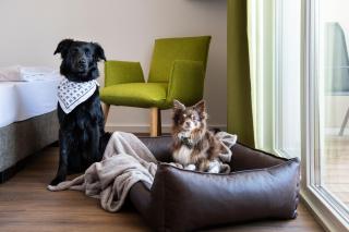 Schnitzers Dahoam - Hundefreundlich - Bad Wiessee - 3