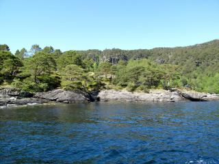 Chalet Svanöy by Interhome - 3