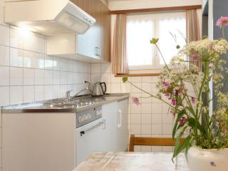 Apartment Hubertus-1 by Interhome - Zermatt - 2