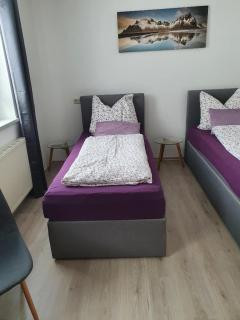 Glemmy Appartements inkl Sommercard - Viehhofen - 8