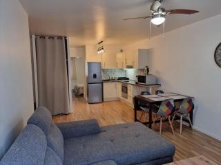 Appartement T2 45 M2 Meublé 3 étoiles tout confort hyper centre de Dax - Dax - 1