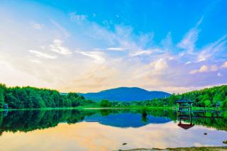 Haywood Chic Retreat Unit 215 - Asheville - 3