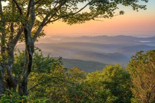 North Star Manor - Waynesville - 9