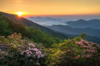 Cool Springs Manor - Asheville - 6