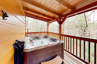 Bearadise Resort - Gatlinburg - 9