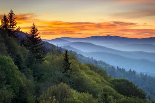 Summit Manor Condos Unit B3062 - Gatlinburg - 5
