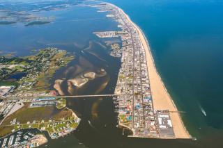Coral Beauty - Ocean City - 8