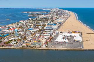 Coral Beauty - Ocean City - 4