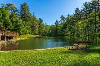 Bull Creek Peaceful Escape - Asheville - 6
