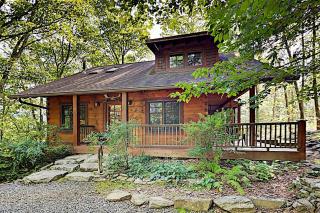 Elkhorn Cabin & Eagles Wing Lodge - Asheville - 0