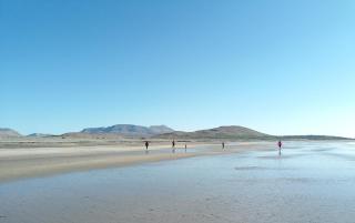 Devlin farm life - 7