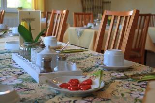 Hotel zum Ritter Nidderau - Nidderau - 7