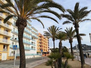 Apartamentos Elvira - Blanes - 4