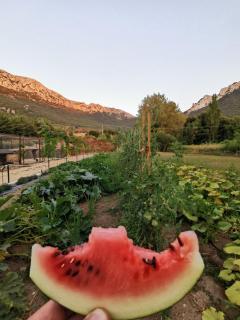 Villa Corbezzolo (Country House) - Dorgali - 1