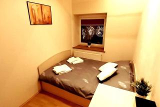 Laisves Apartment Kaunas - Kaunas - 9