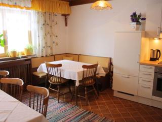 Apartment with Garden, Garden Furniture, BBQ - Taxenbach - 9