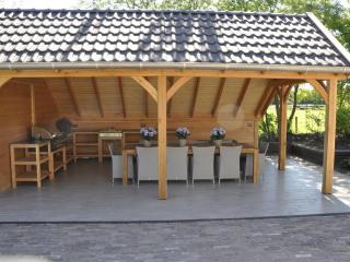 Spacious Mansion in Nijensleek with Sauna - Nijensleek - 6