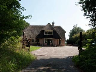 Spacious Mansion in Nijensleek with Sauna - Nijensleek - 1