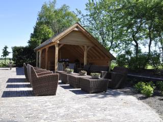Spacious Mansion in Nijensleek with Sauna - Nijensleek - 6