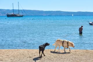 Camping Stobreč Split - Split - 2
