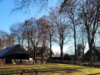 Villa Teun - Elspeet - 6