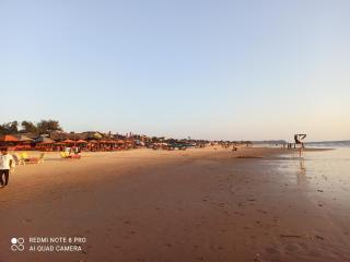 Richard Inn Residency - Calangute - 1