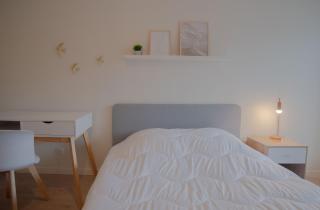 "Envie Lyonnaise" Location - 10 personnes - Terrasse - WIFI Fibre optique - Lyon - 1