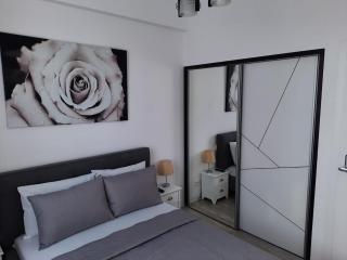 Luxury City Center Apartment – Garofita Romana - 9