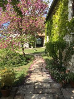 Le Cottage d'Eleanor gîte de charme avec spa Jacuzzi privé - Marçay - 5