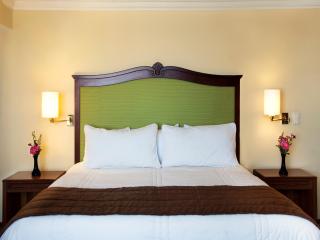 Hotel Francia Aguascalientes - Aguascalientes - 2