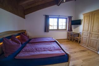 Chalet Stegerhof Premium App Dachstein - Schladming - 3