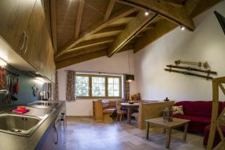 Chalet Stegerhof Premium App Dachstein - Schladming - 5