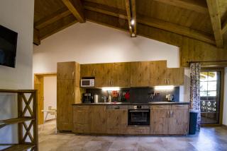 Chalet Stegerhof Premium App Dachstein - Schladming - 4