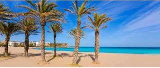 Apartamento Arenal II - Jávea - 7