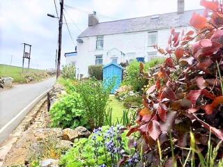 Arallt Holiday Cottage - 9