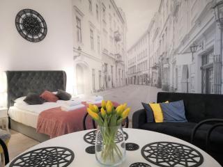 ZamStudio Kraków Zamenhofa 4 - Cracovia - 6