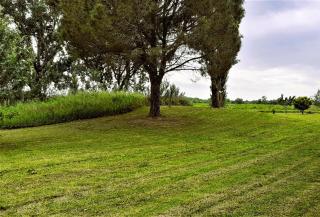 Studio 24 m2 - Hameaux de Camargue - village 9 - 13200 Arles - Arles - 5